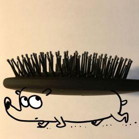 tegning af pindsvin med hårbørste